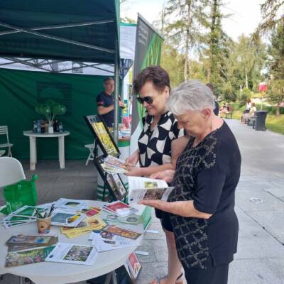 Bitwa Regionów W Oleśnie